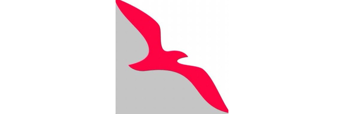 اپلیکیشن Air Arabia در دبی