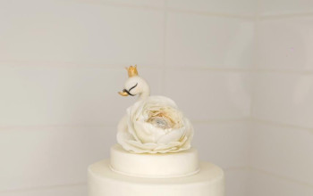 ماریسا کیک Marisa Cake