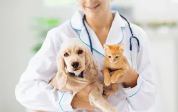 دکتر بهار طراوت Dr Bahar Taravat