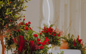افرا فلاورز  afra flowers