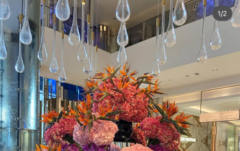 فروشگاه گل لیاتریس Liatris Flower Dubai