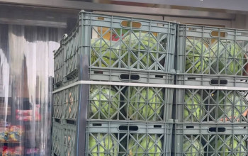 میر جلیلی SK Mirjalili | Dubai Fresh Fruits Market
