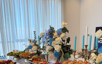 سارا سبحانی Sara Sobhani