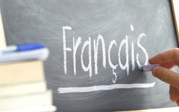 تدریس زبان فرانسه French Language Tutoring