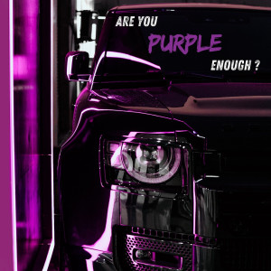 پرپل 7 | Purple 7 - 2