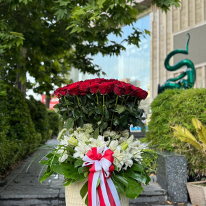 رومینا فلور Romina Fleur - 3