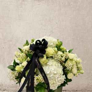 رومینا فلور Romina Fleur - 6