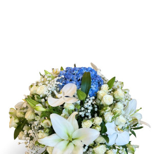رومینا فلور Romina Fleur - 7