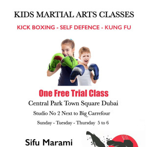 هنرهای رزمی، مربی فیتنس و مشاور تغذیه Martial Arts - 3