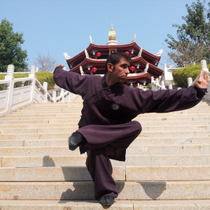 هنرهای رزمی، مربی فیتنس و مشاور تغذیه Martial Arts - 12