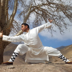 هنرهای رزمی، مربی فیتنس و مشاور تغذیه Martial Arts - 17