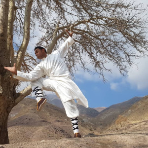 هنرهای رزمی، مربی فیتنس و مشاور تغذیه Martial Arts - 18