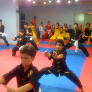 هنرهای رزمی، مربی فیتنس و مشاور تغذیه Martial Arts - 26