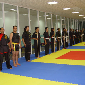 هنرهای رزمی، مربی فیتنس و مشاور تغذیه Martial Arts - 31