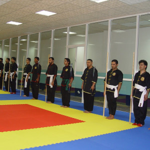 هنرهای رزمی، مربی فیتنس و مشاور تغذیه Martial Arts - 34