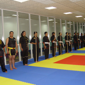 هنرهای رزمی، مربی فیتنس و مشاور تغذیه Martial Arts - 44