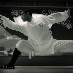 هنرهای رزمی، مربی فیتنس و مشاور تغذیه Martial Arts - 53