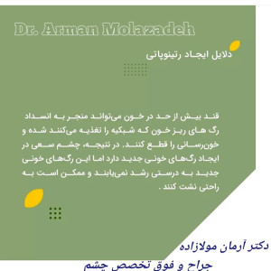 دکتر آرمان مولازاده - 8