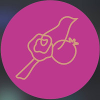 آشپزخانه ایرانی آریانا
