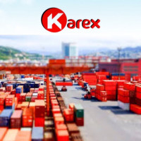 کارکس Karex