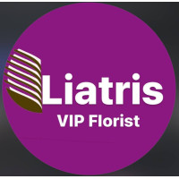 فروشگاه گل لیاتریس Liatris Flower Dubai