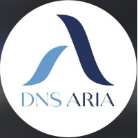 DNS ARIA
