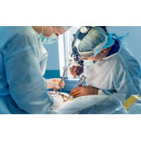 Dr Mersad Mousavi