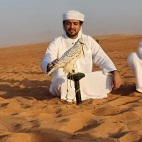 گواهینامه هلیشات فیلم برداری مراسم جشنواره