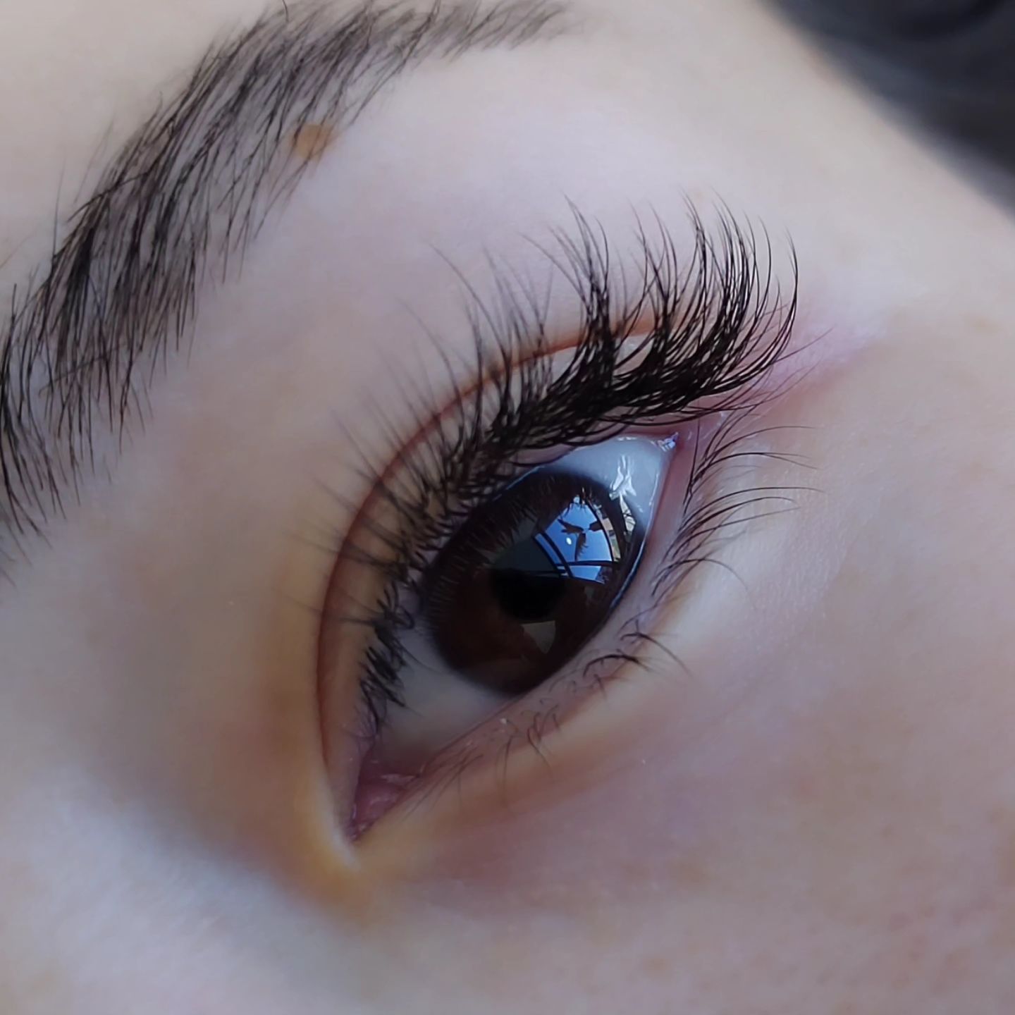 آرایشگاه لش میکر Saloon Beauty lash maker