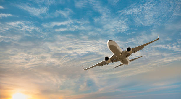 خدمات مسافرتی فانوس Fanous Travel