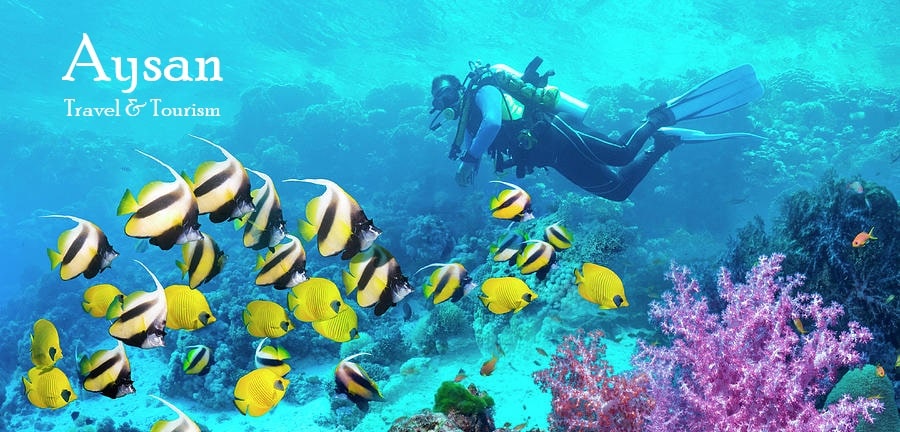 آیسان توریسم Aysan Tourism