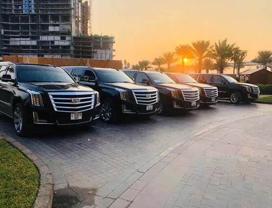 امیر ارباب زاده Amirsepahan.dxb