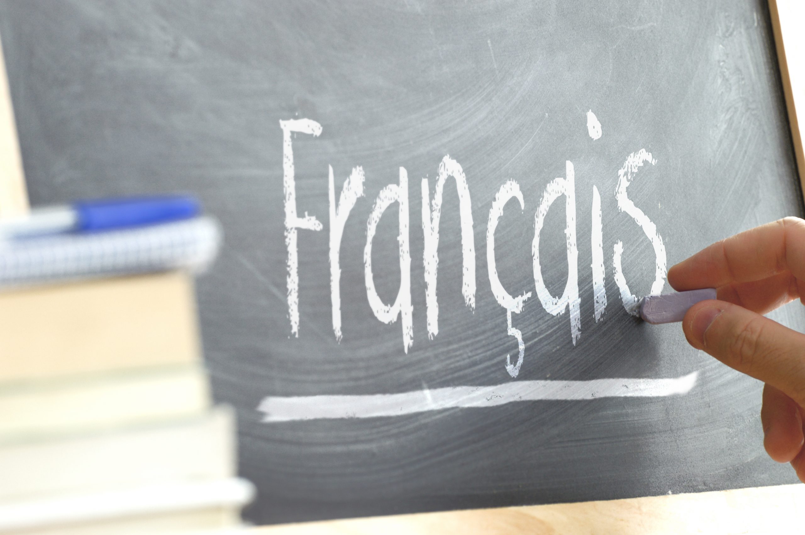 تدریس زبان فرانسه French Language Tutoring